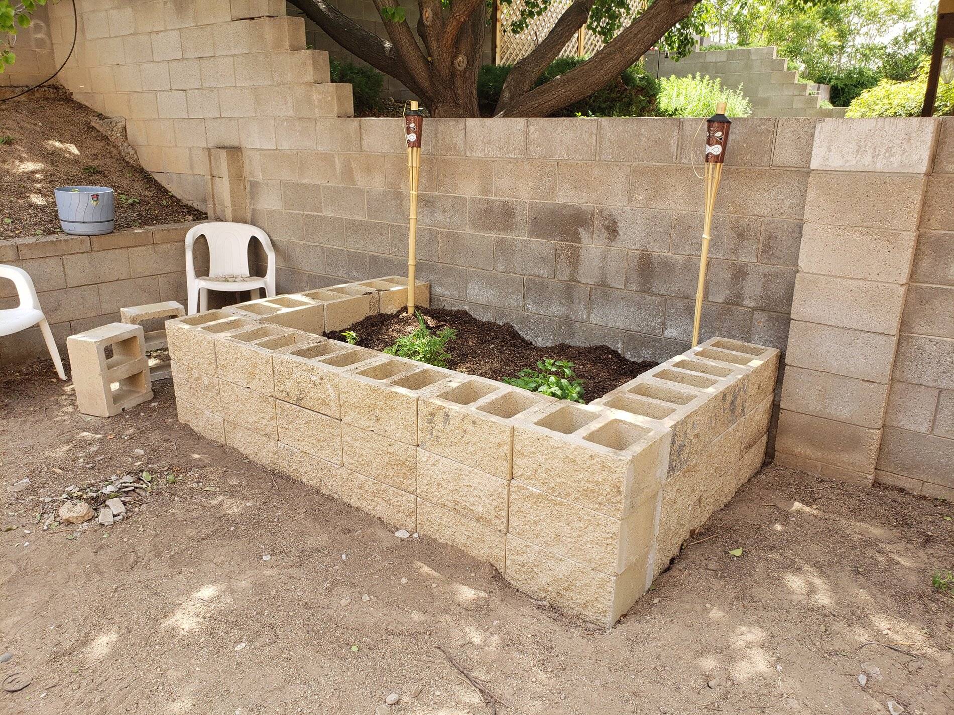 Garden 1.jpg