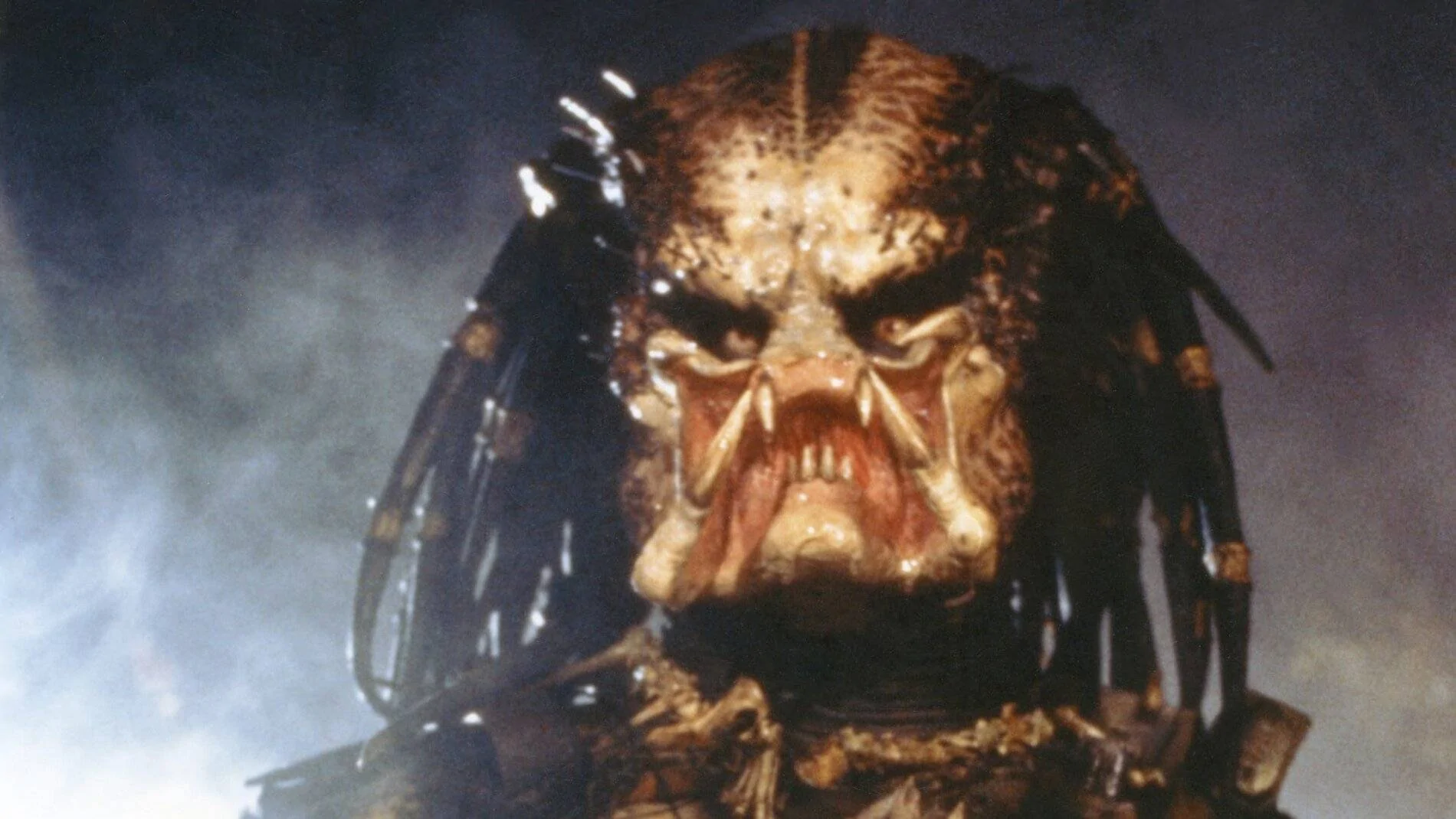cf59264d-15f7-4fa0-9251-8f8de5ecf7bd-XXX_CP_On_the_Set_of__Predator__014.webp