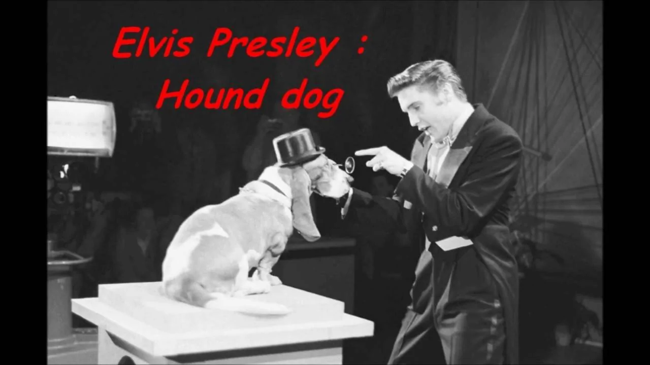 Elvis.jpg