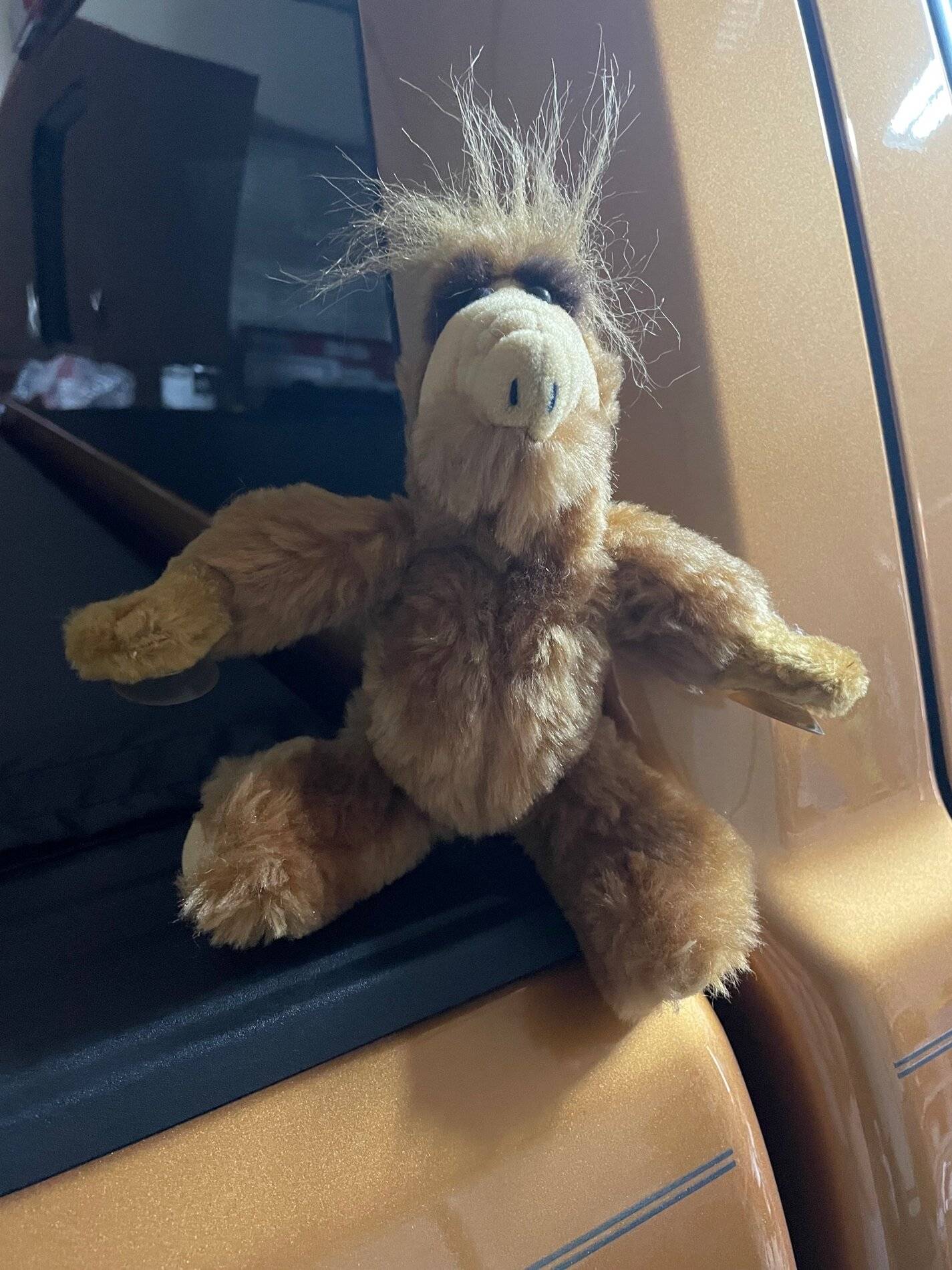 Alf.jpg