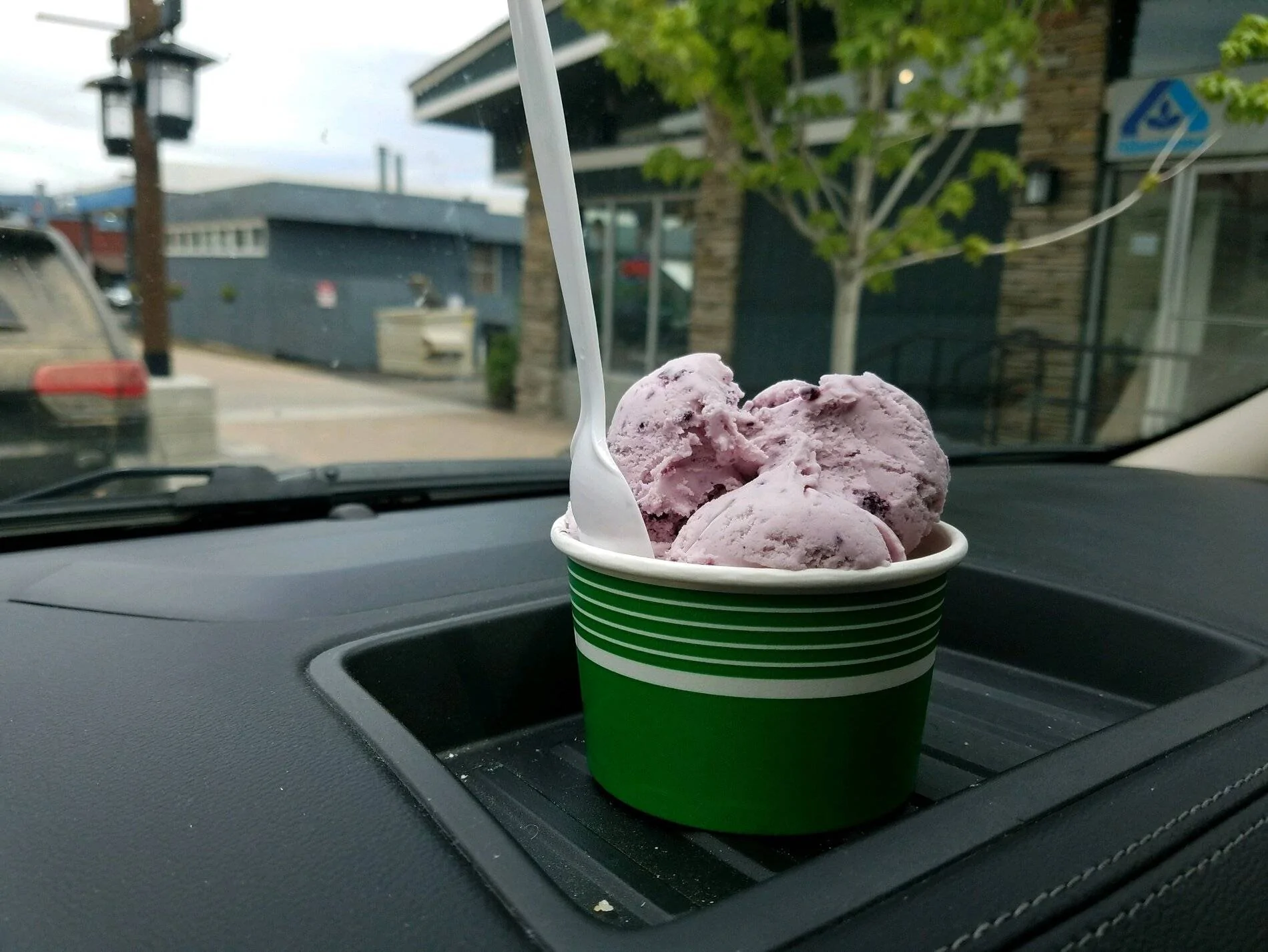 Huckleberry.webp
