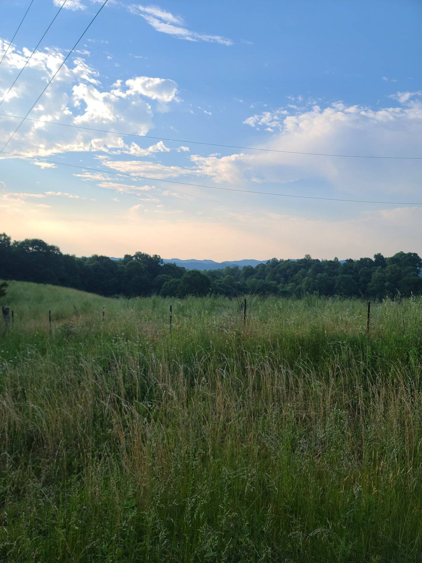 20210526_074838.jpg