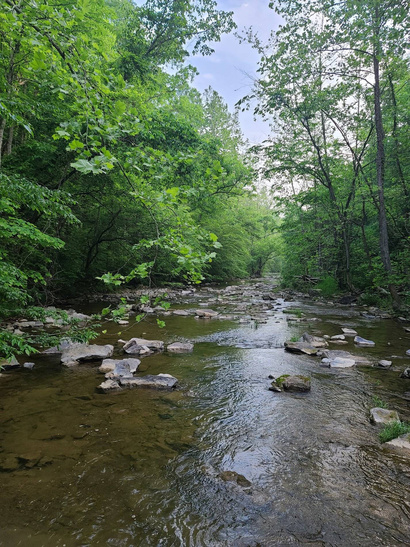 20210526_070836.jpg
