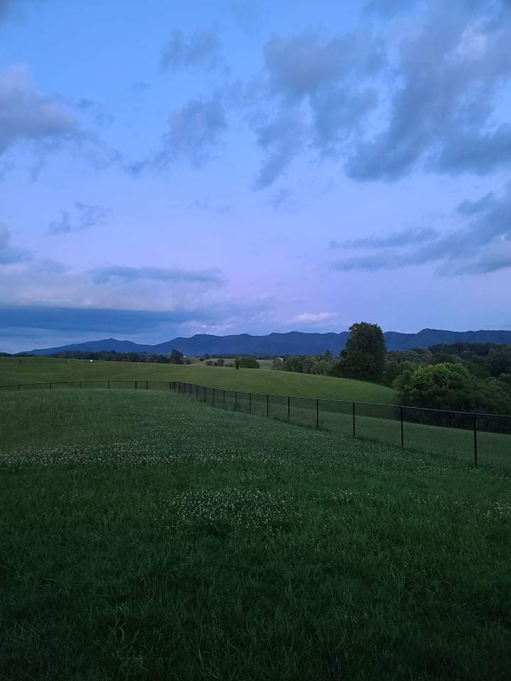 received_352702266571911.jpeg