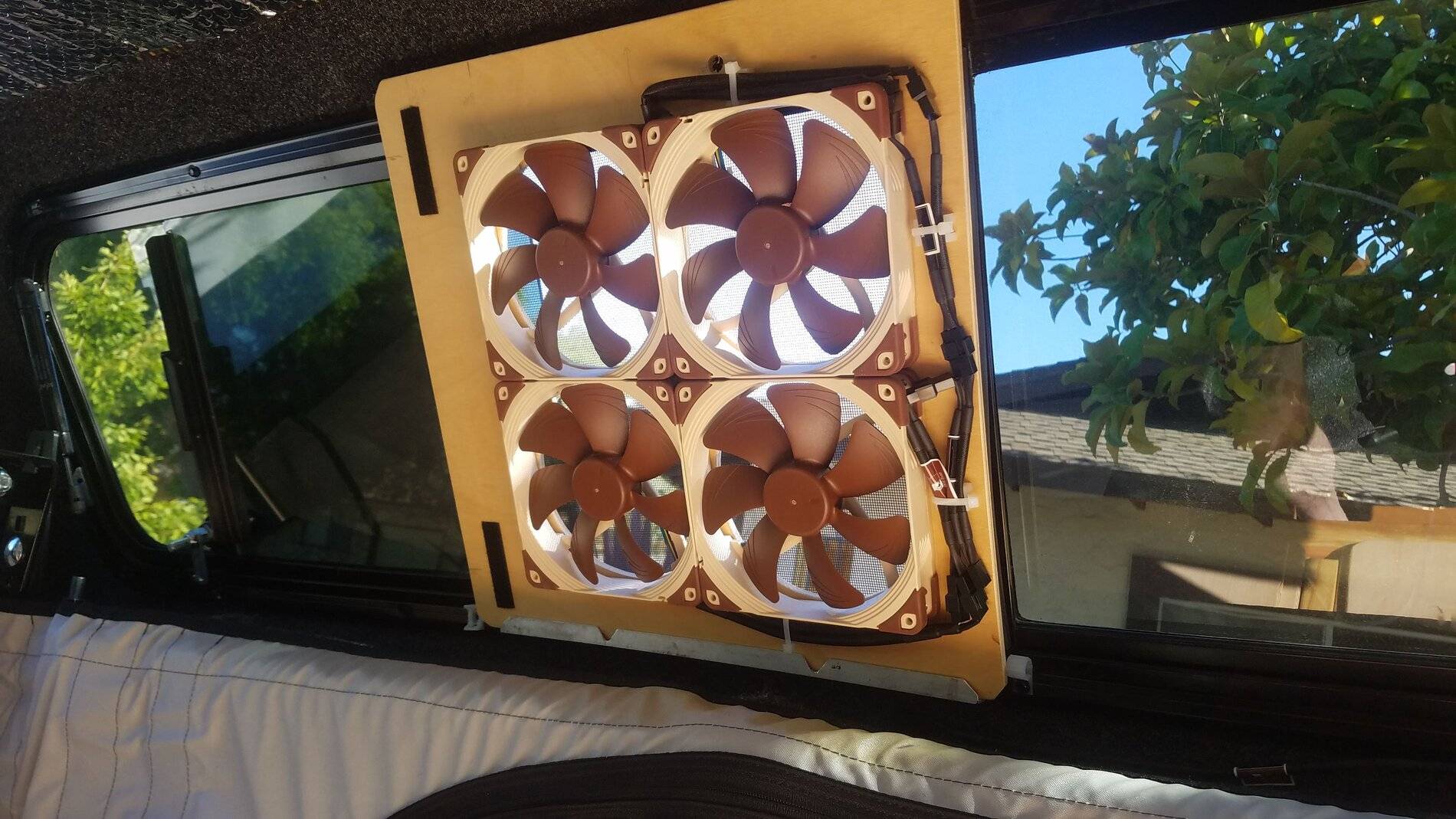fan.jpg