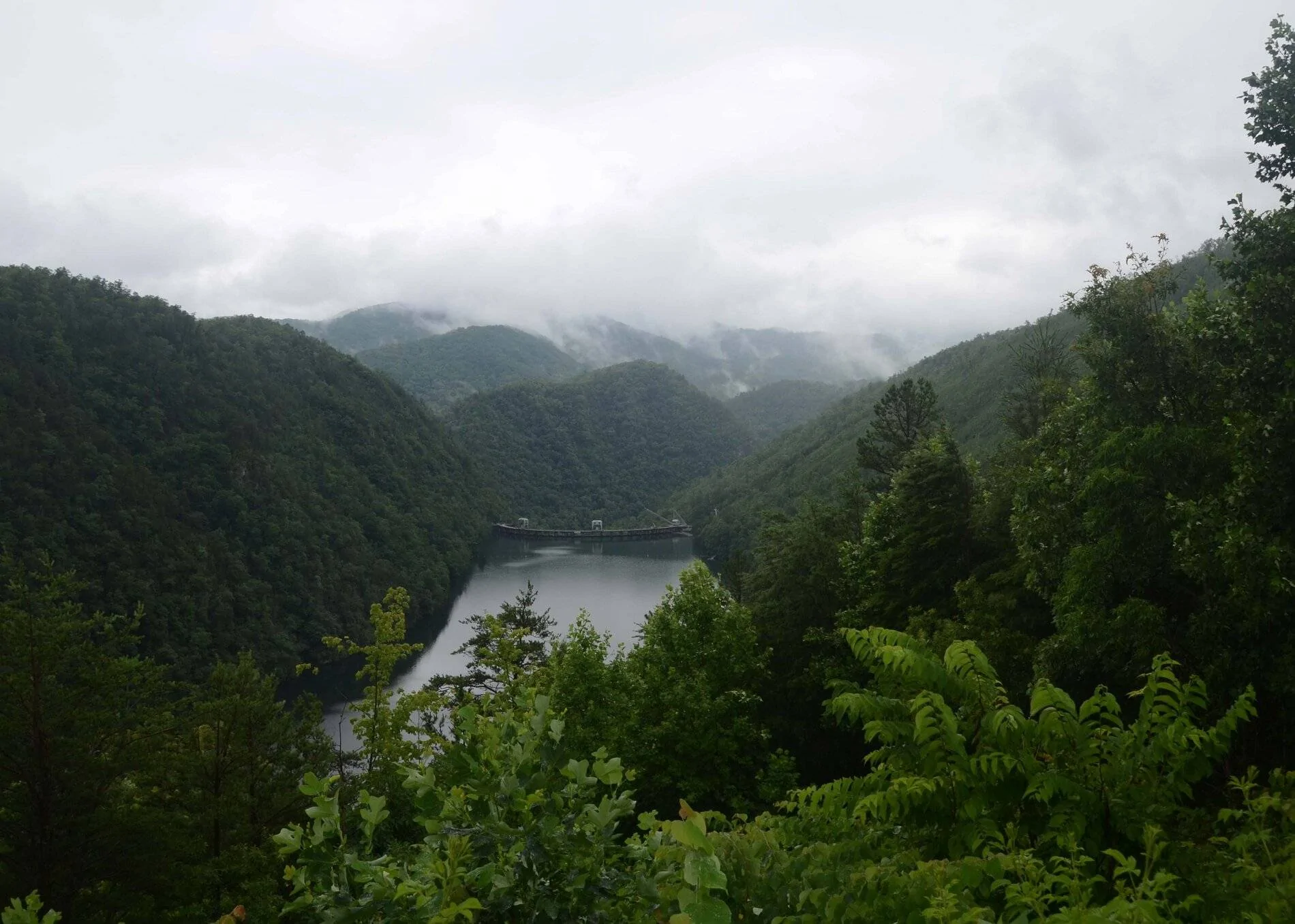 Smokies dam for web.webp