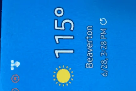 1624989436281.webp