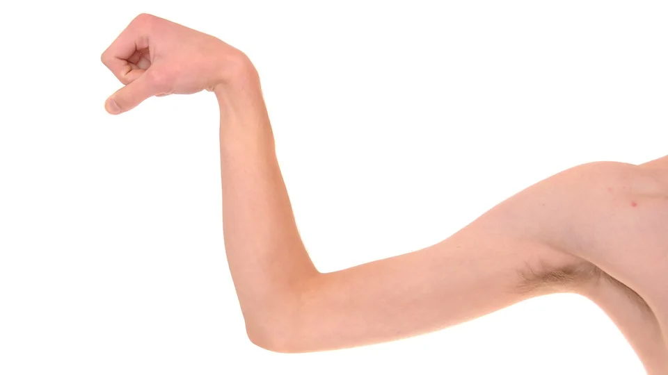 Small Arm.webp