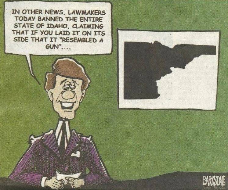 idaho gun.jpg