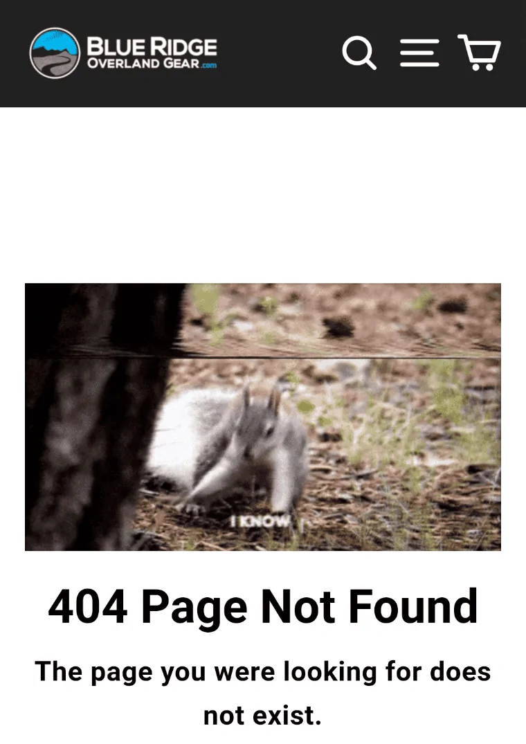 Screenshot_20210703-111552.webp