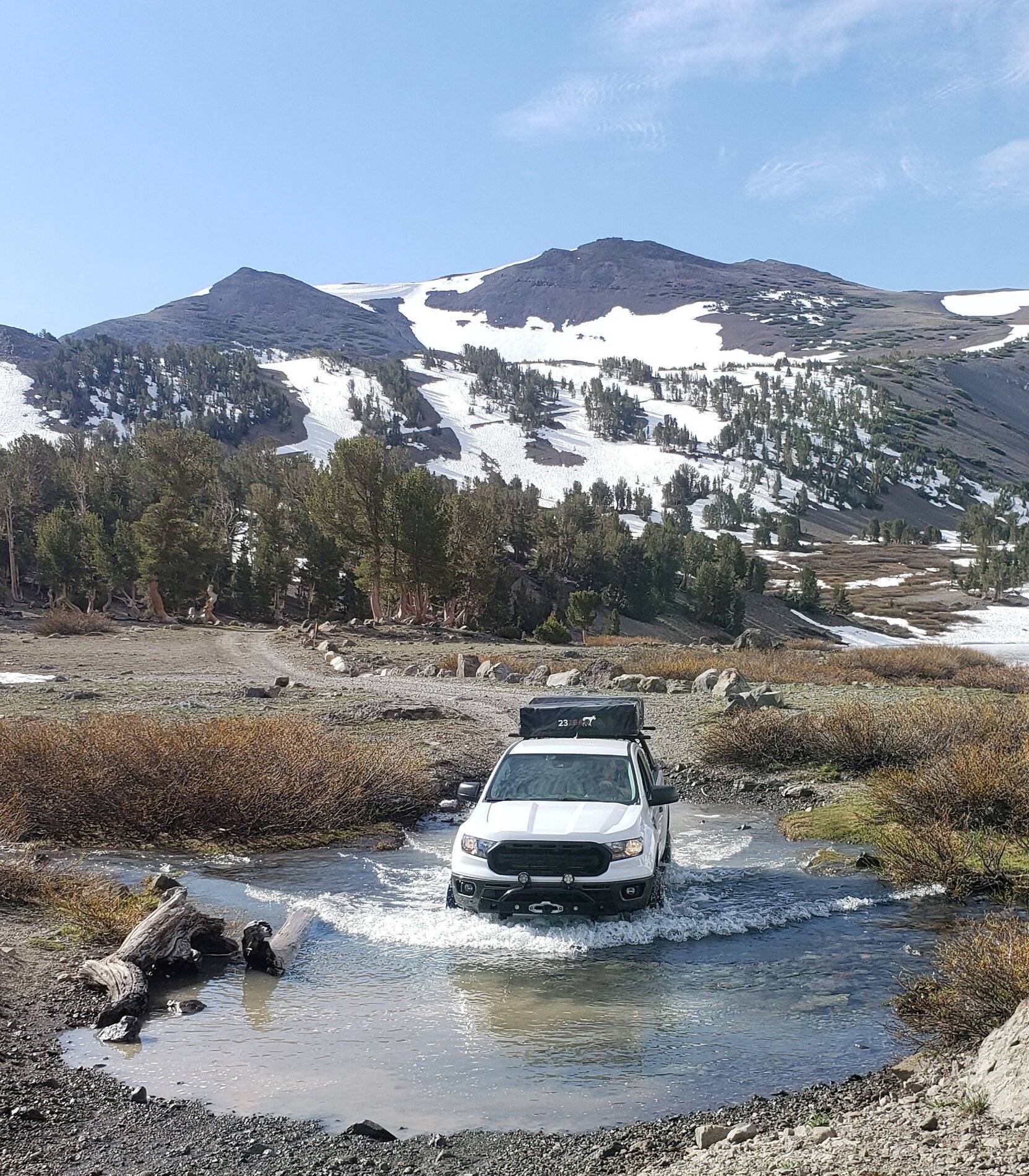 2021-06-03 Treeline Eastern Sierra.jpg