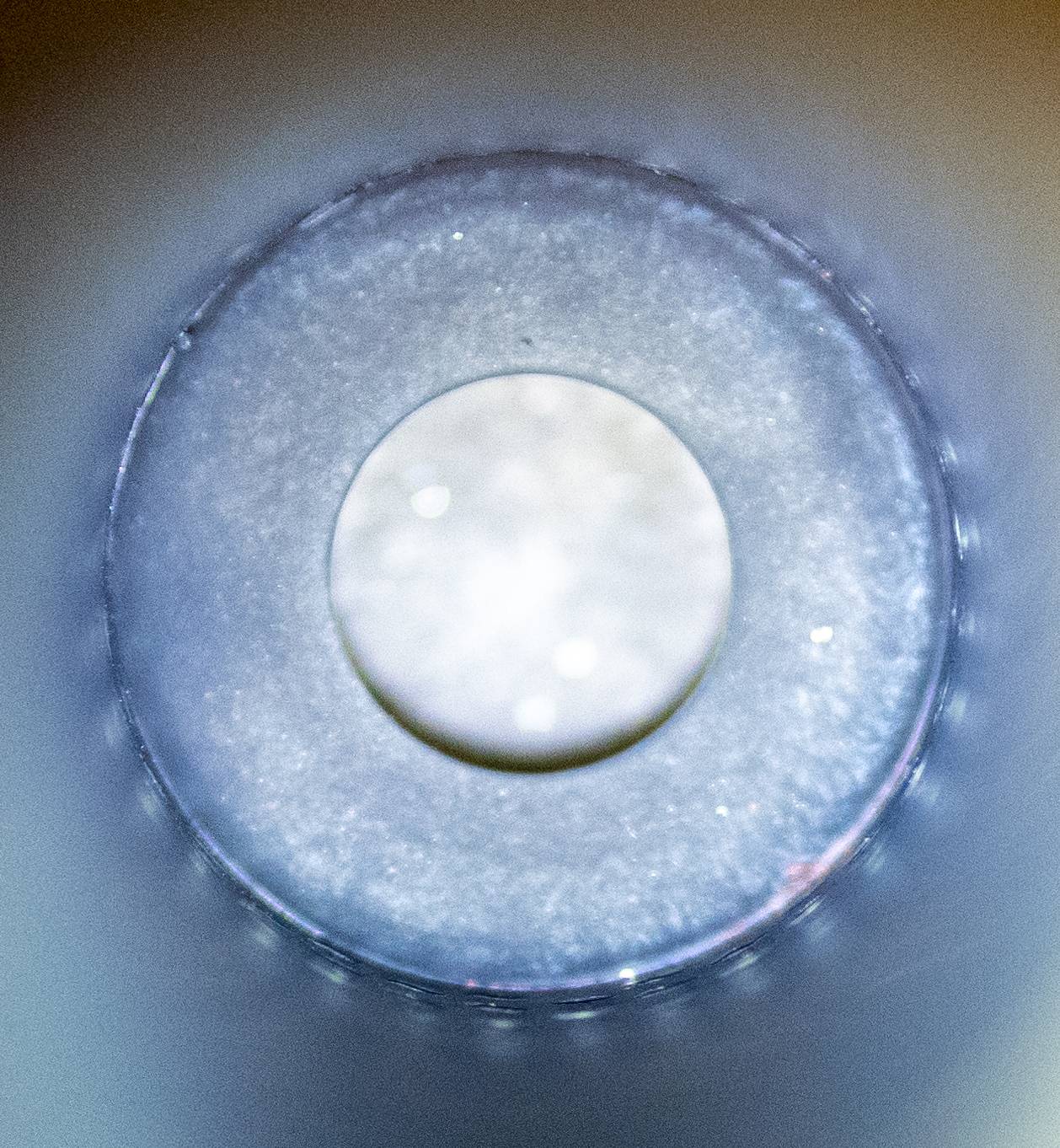 A7300985.jpg