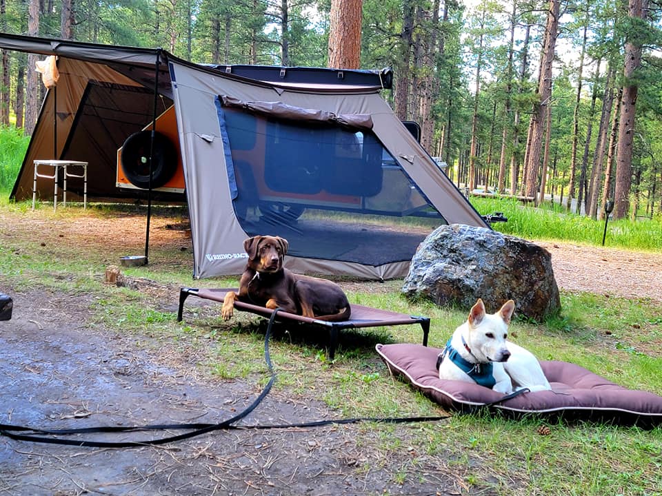 208303885_10165486243995444_1009388087797763559_n.jpg