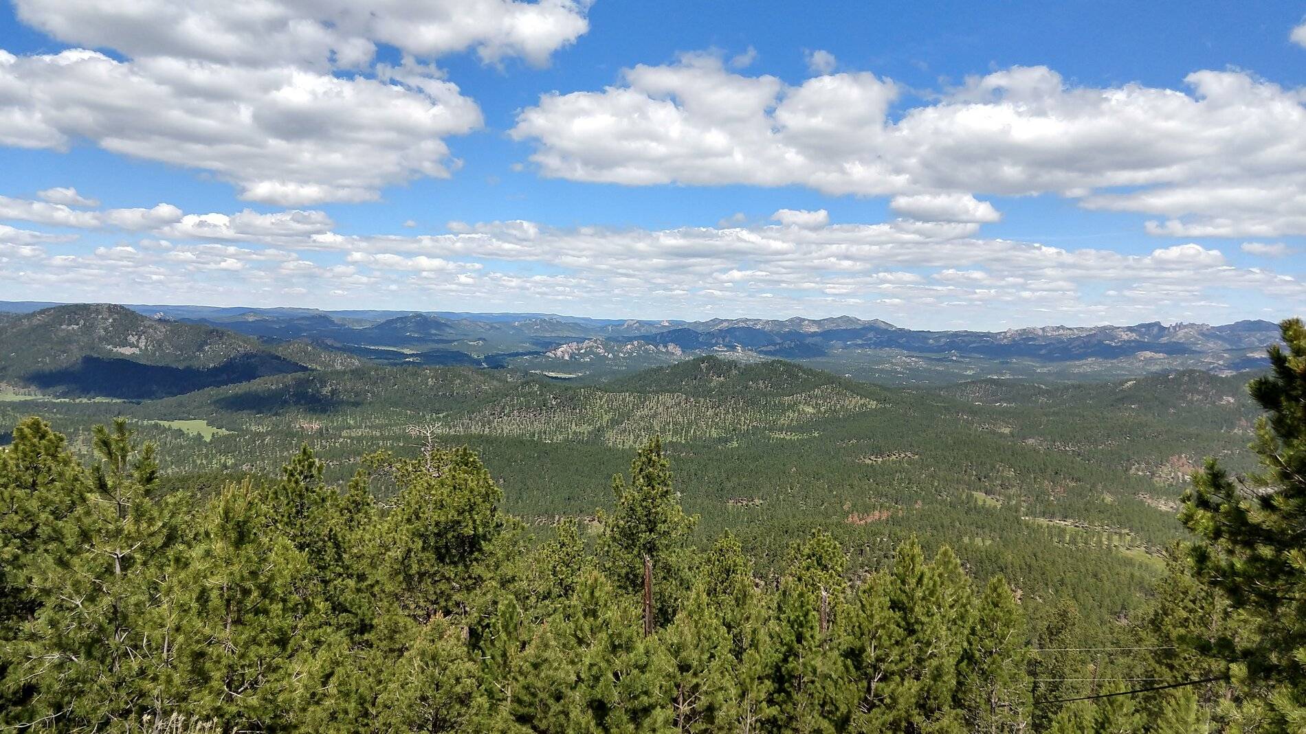 IMG_20210629_110952404_HDR.jpg
