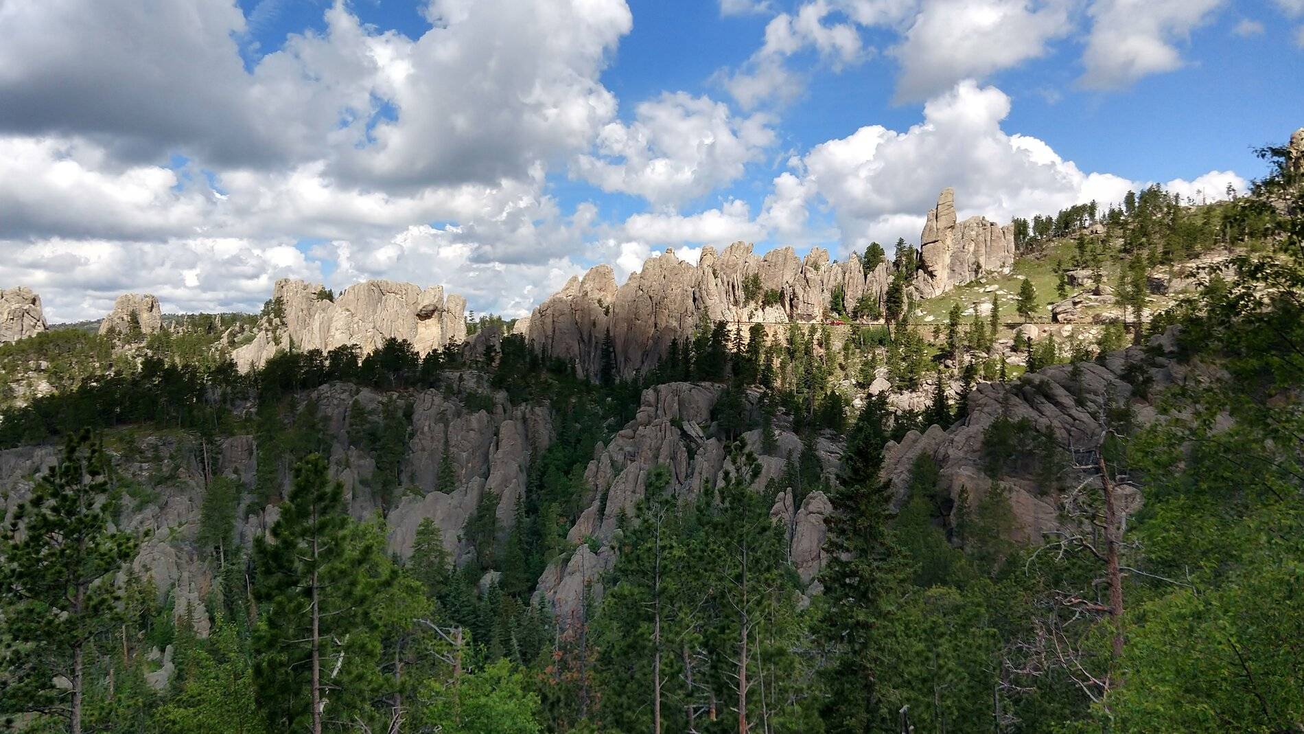 IMG_20210701_100351037_HDR.jpg