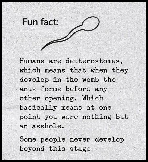 Fun Fact.jpg