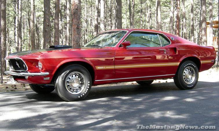 MUSTANG 1969 428 COBRA JET.jpg