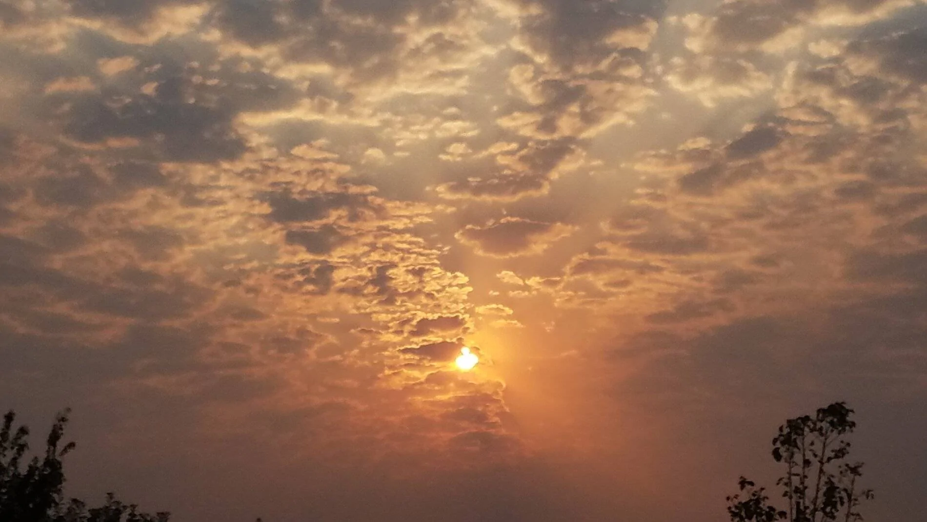 smoky sunrise.webp