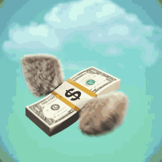 E431CB9A-71B2-4AB8-BCF5-216480B437F5.gif