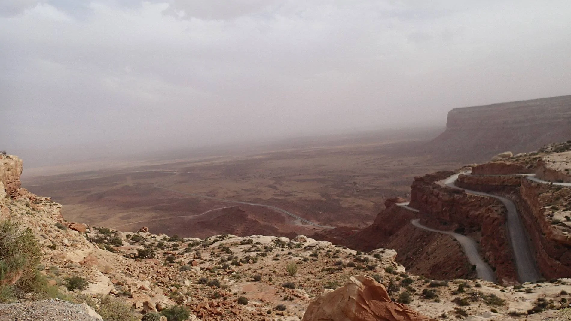 P8110086.webp