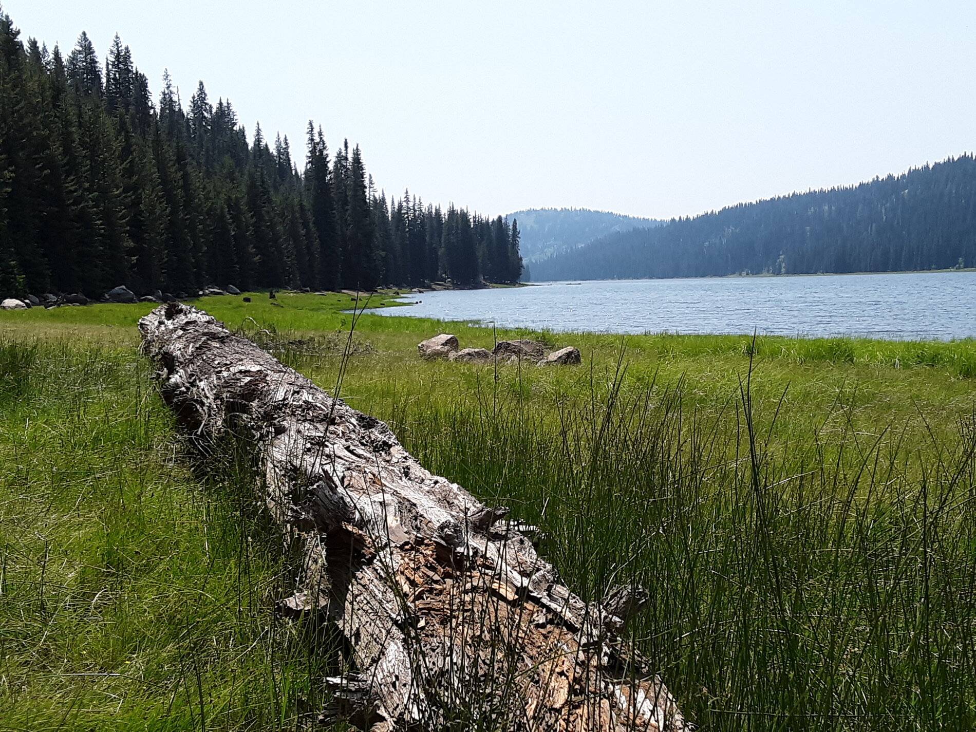 Goose Lake .jpg