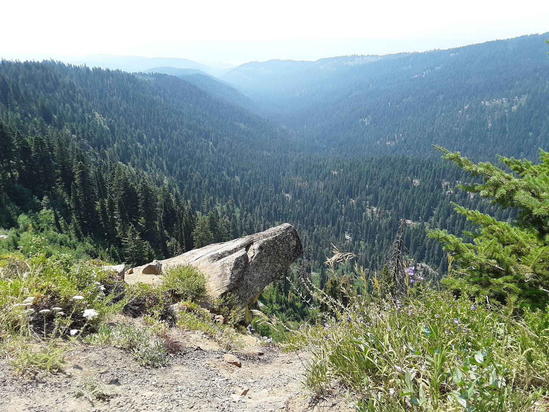 Overlook.jpg