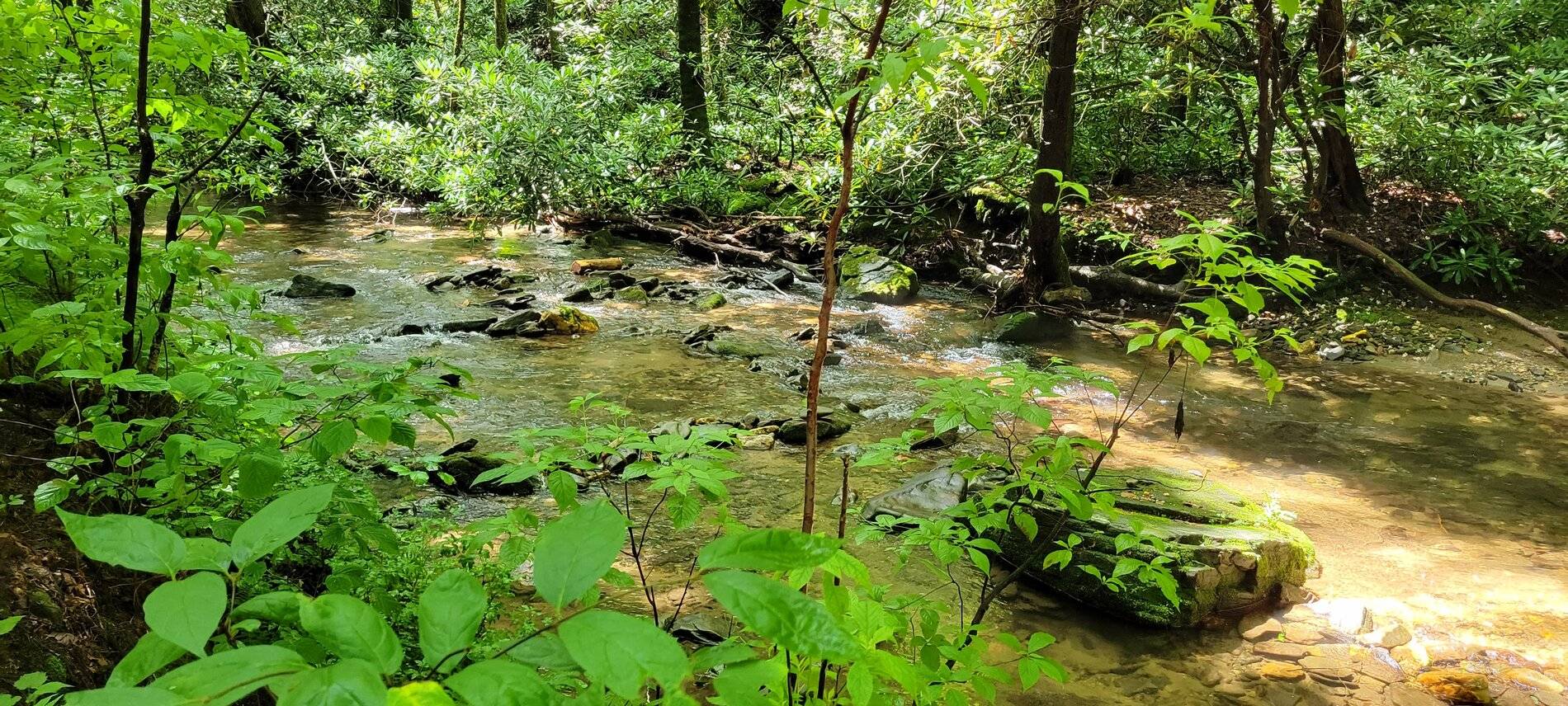 2021-07-17 12.21.07.jpg