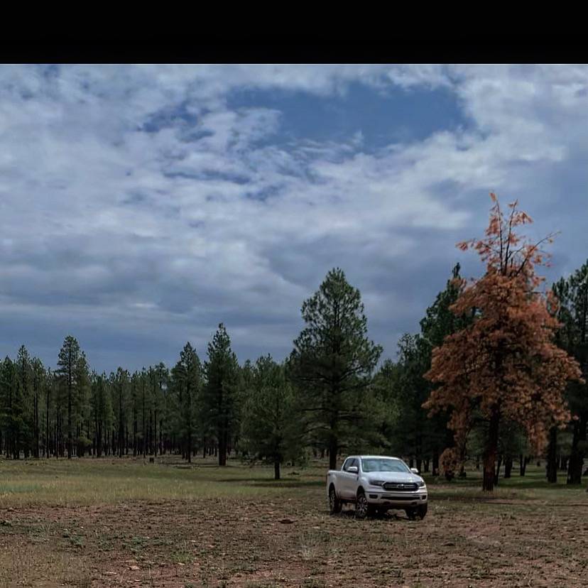 7D6D3228-1AFB-43C2-8258-81A0EC83A3CF.jpeg