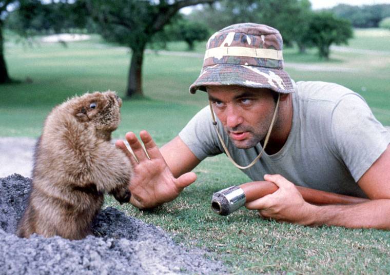 Gopher Caddyshack.jpg
