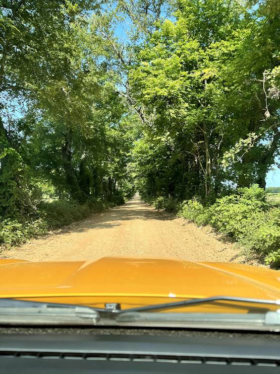 dirt road.jpg