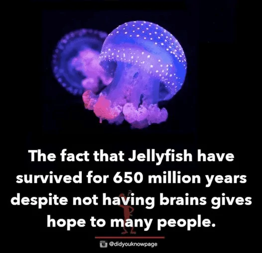 1627424831260.webp