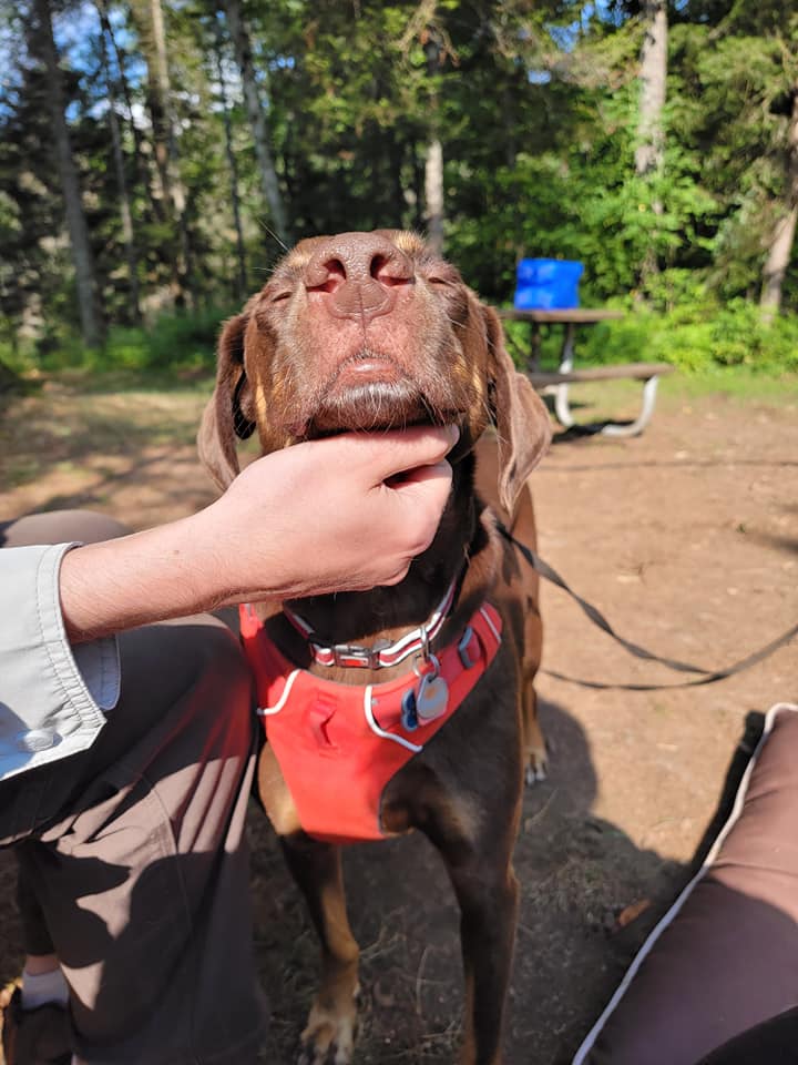 223884133_10165578296485444_347239532607411400_n.jpg