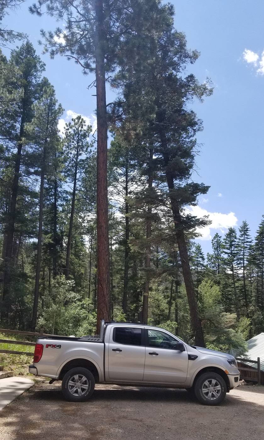 Ingot SF Natl Forest.jpg