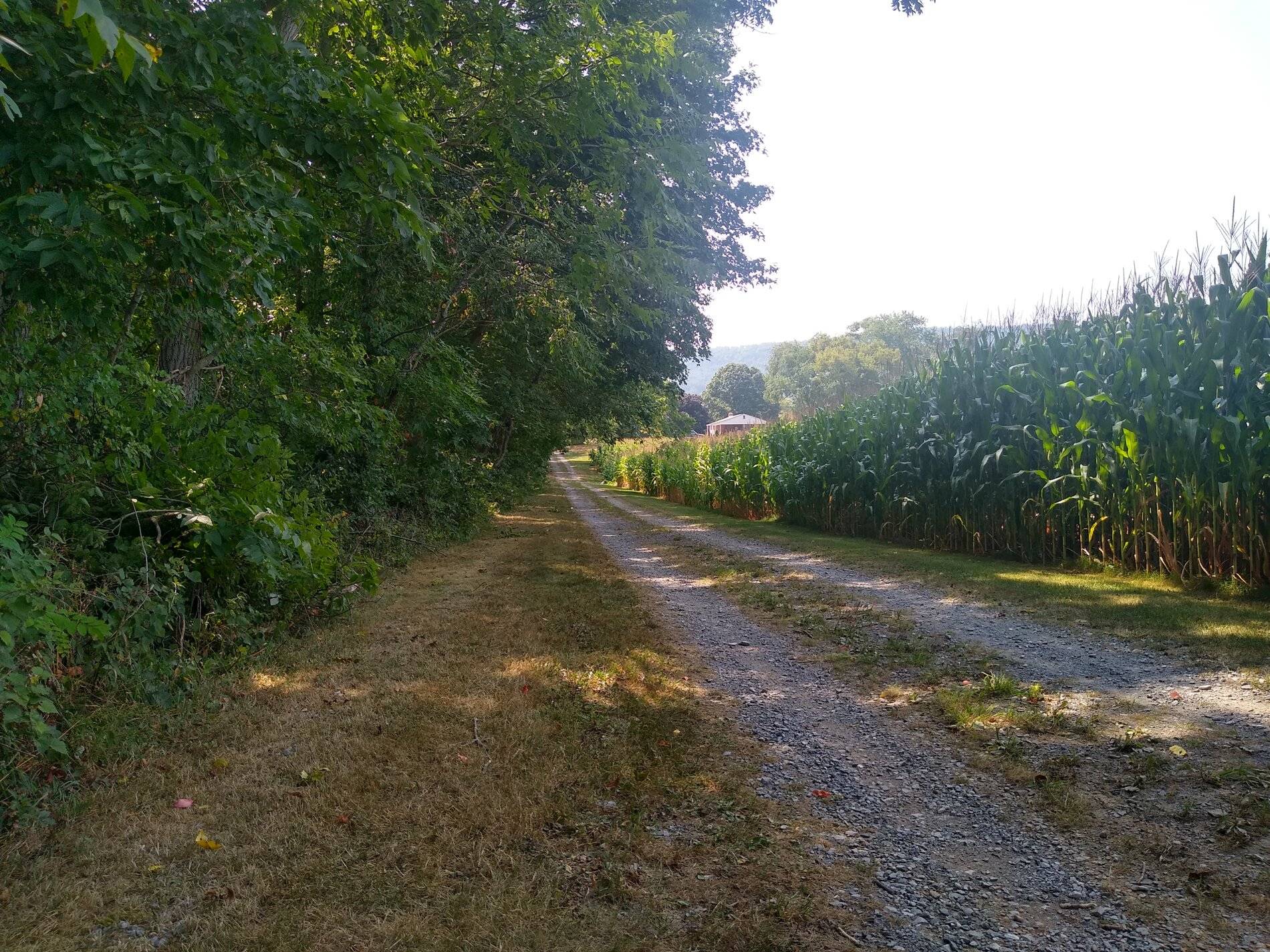IMG_20210809_151118762_HDR.jpg