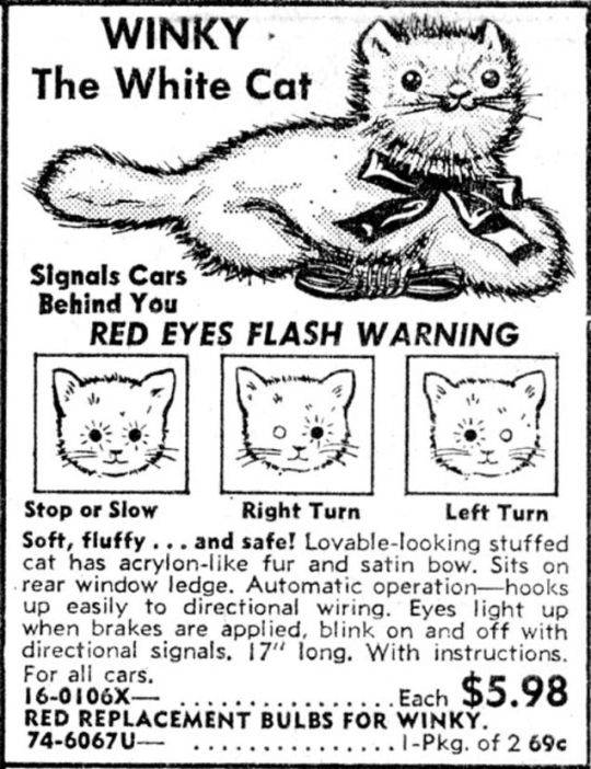 Blinky The Cat.jpg