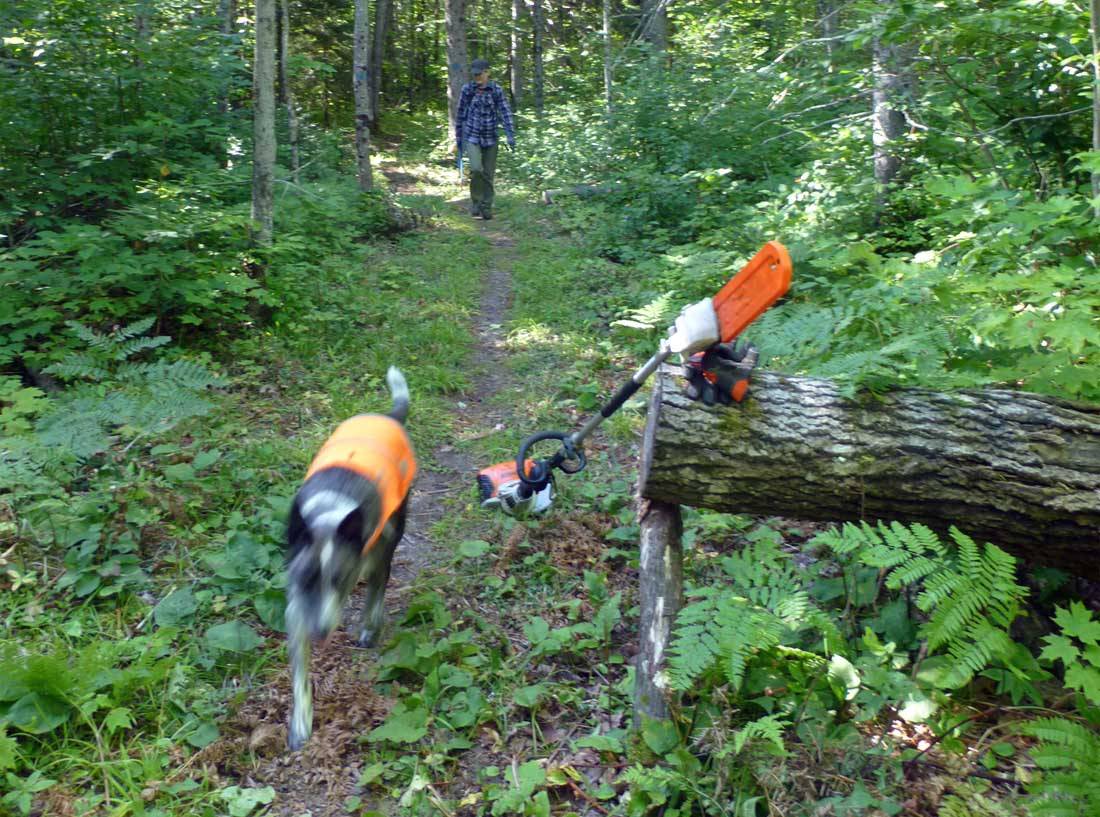 P1120166.jpg