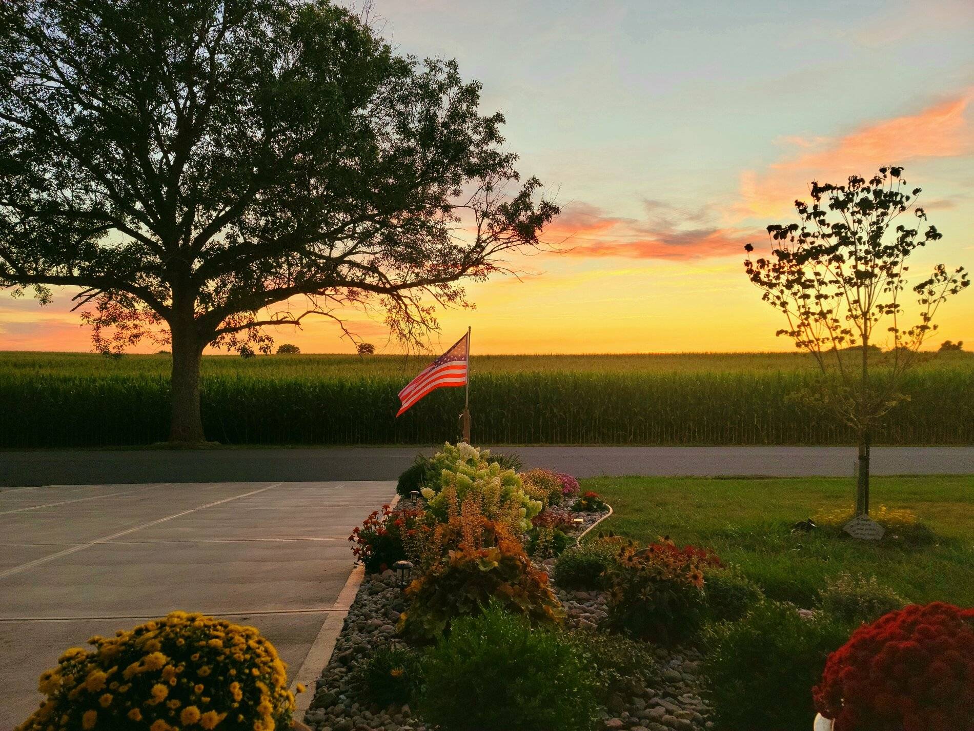 20210814_205352.jpg