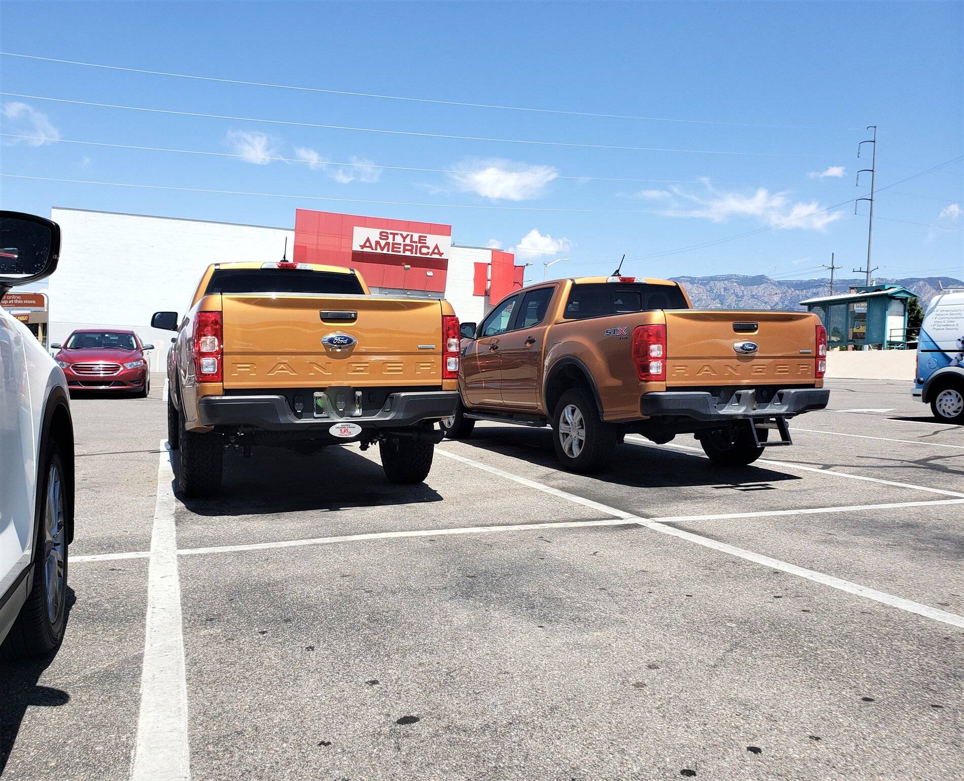 Left rear.jpg