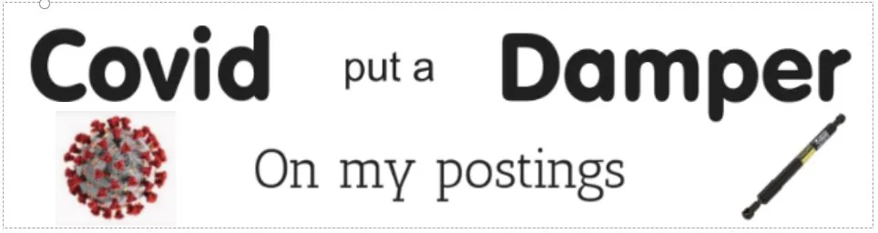 covid damper.JPG