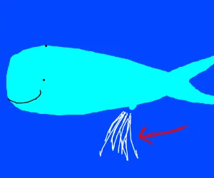 h5DRzKt3AK-2.webp