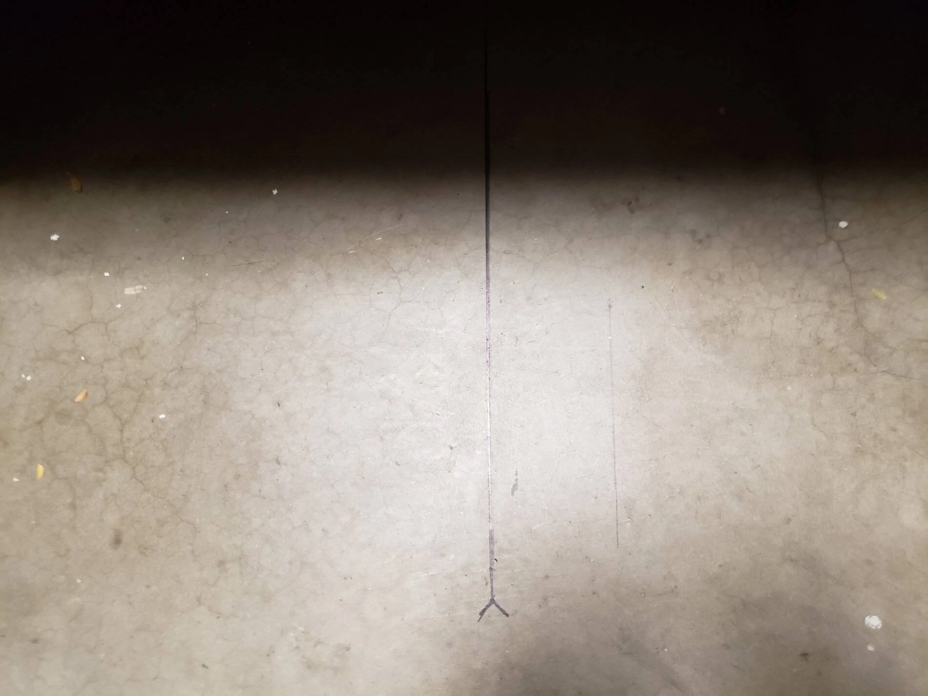 Floor mark.jpg