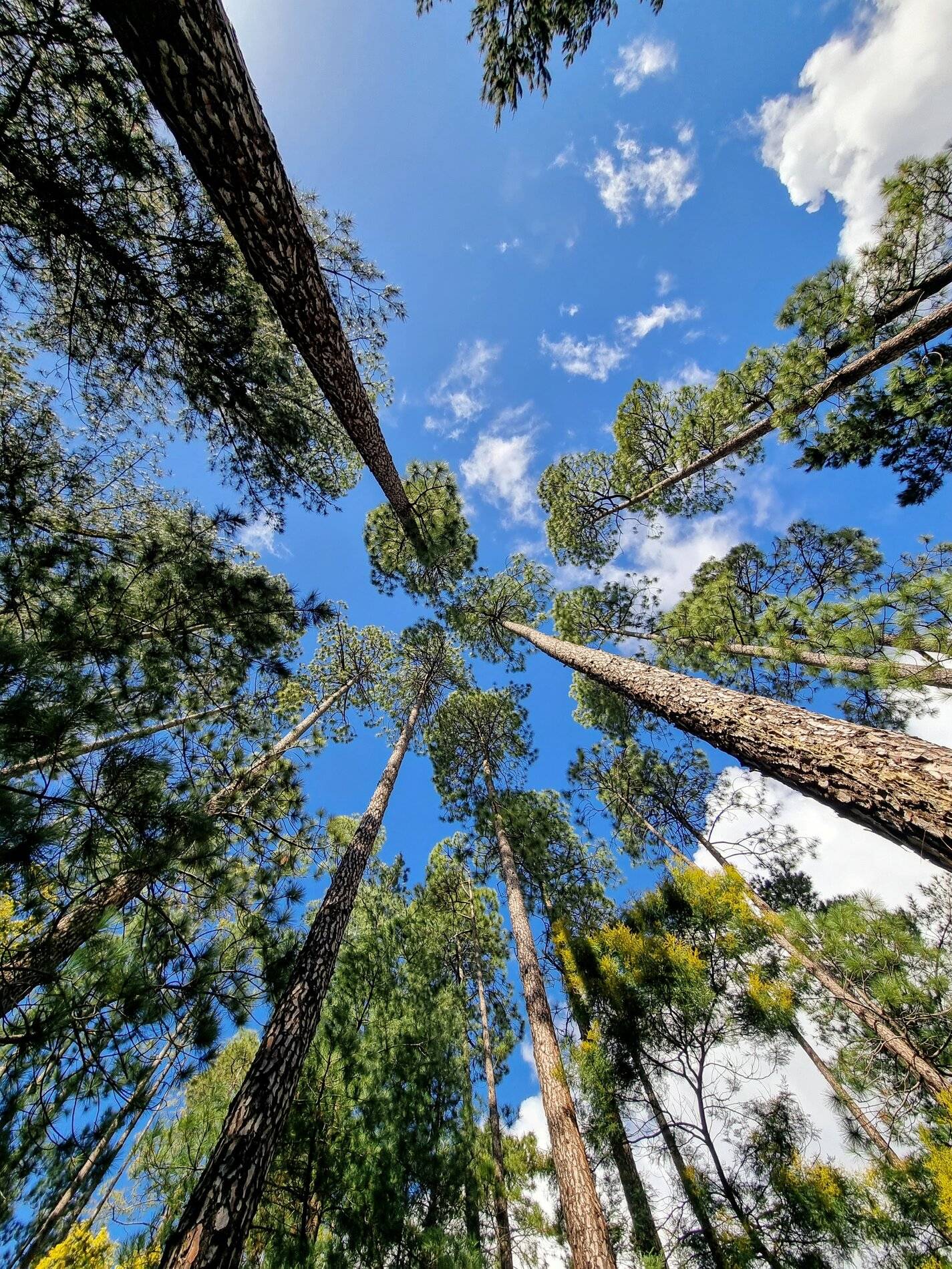 20210821_132145.jpg