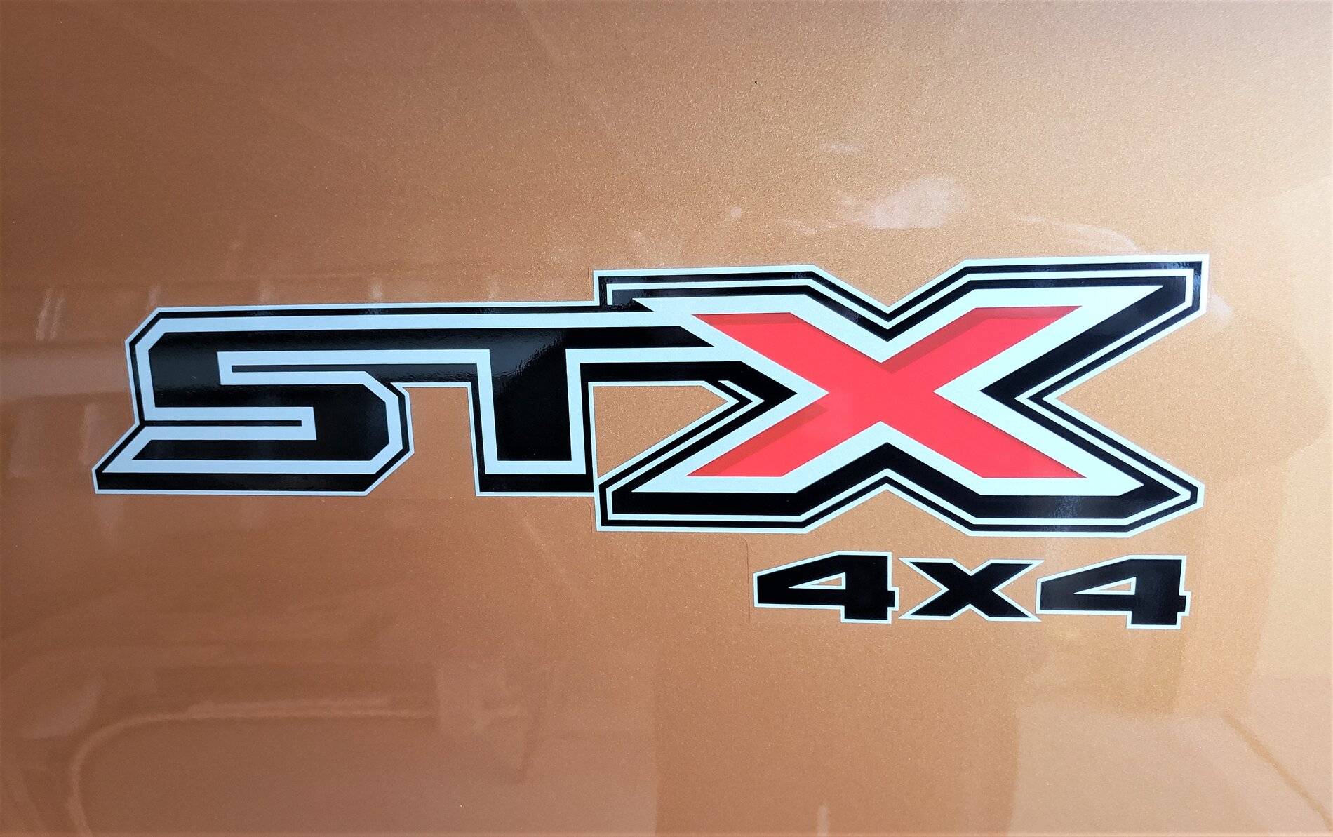 Logo 1 (2).jpg