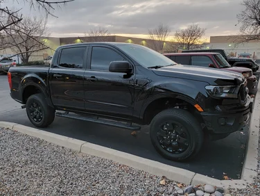 Black Beauty