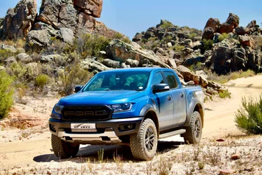 Cape Town Raptor