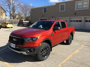 DaRodent’s Big Red