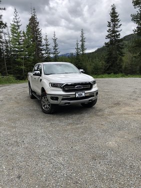 2019 White Platinum