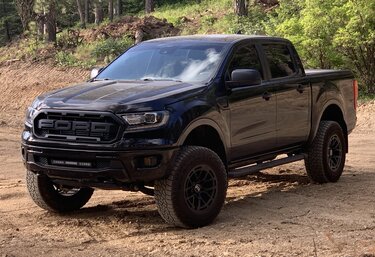 2019 XLT