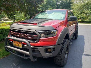 Rapid Red