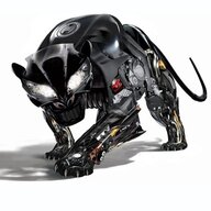 RiVeX